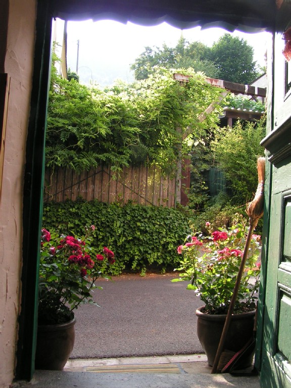 Blick vom Eßzimmer