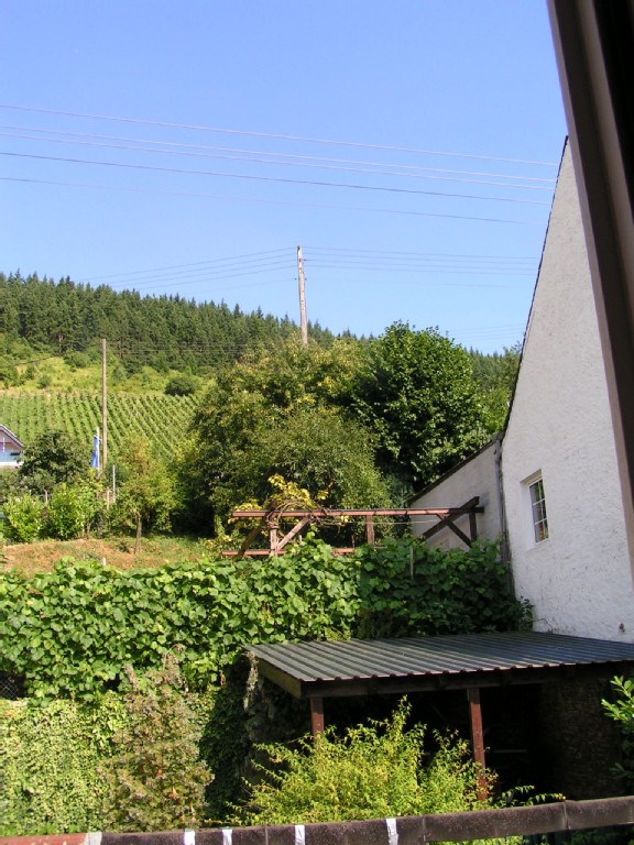 Blick vom Eßzimmer