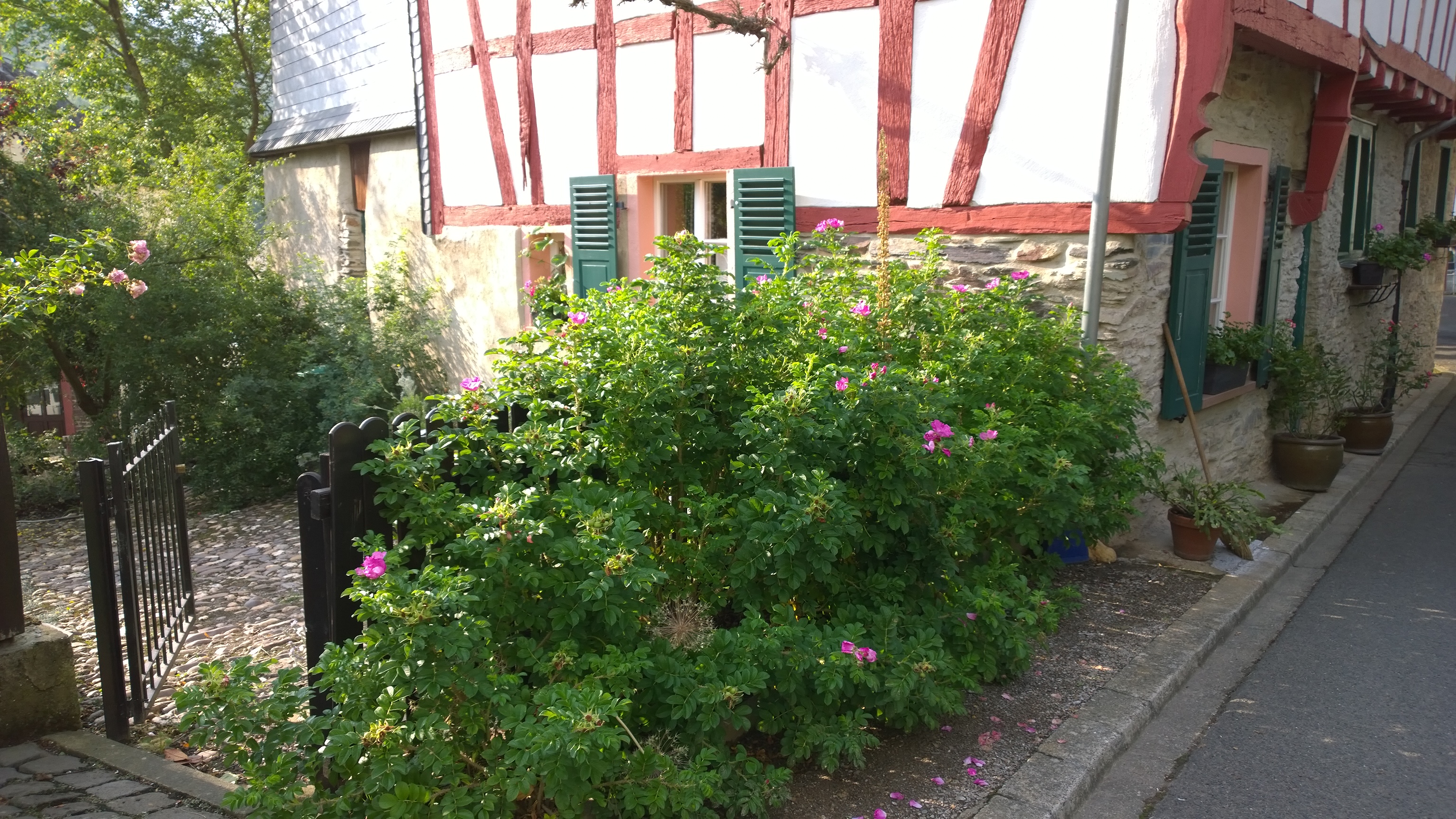 Außenansicht