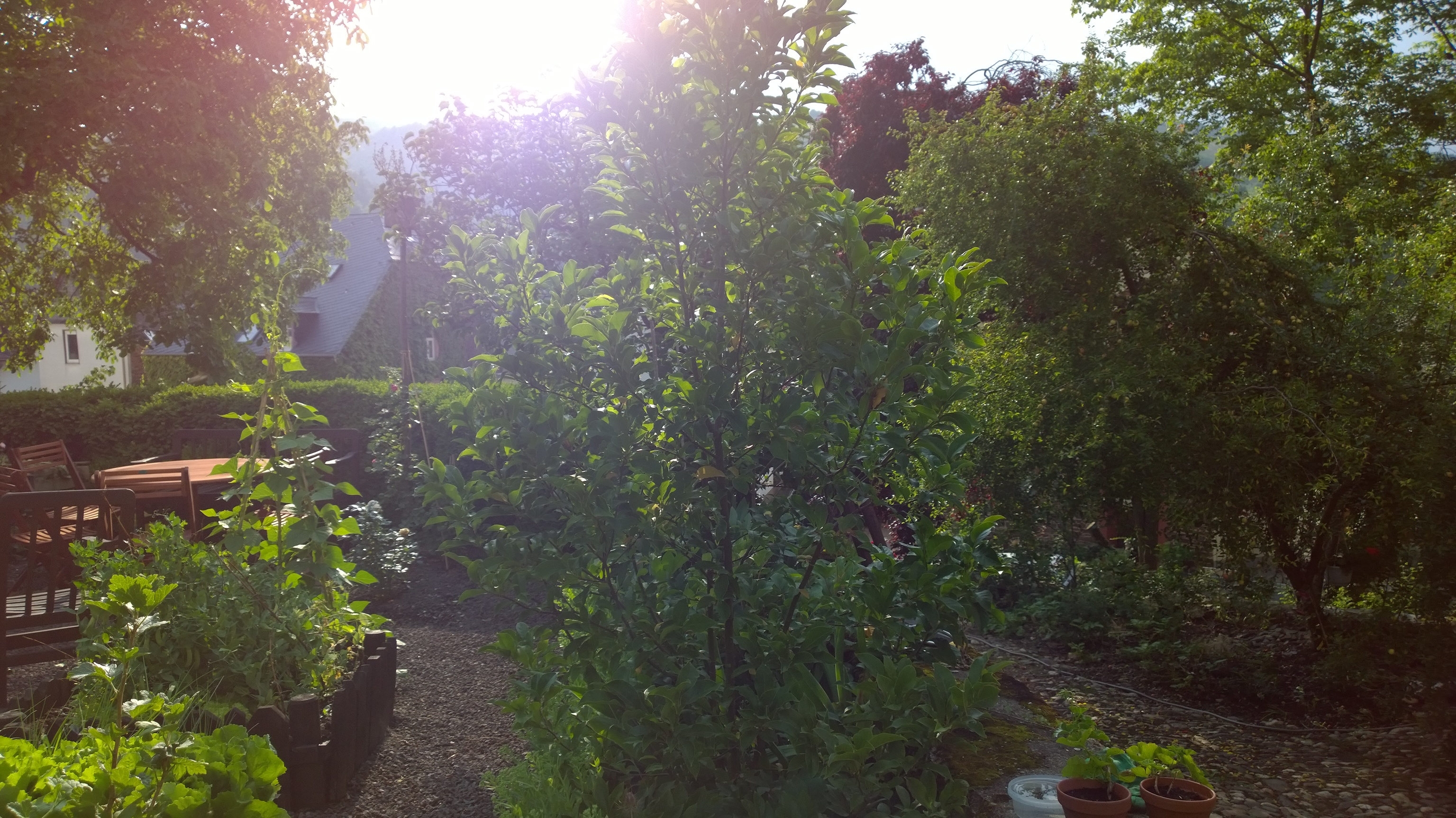 Garten