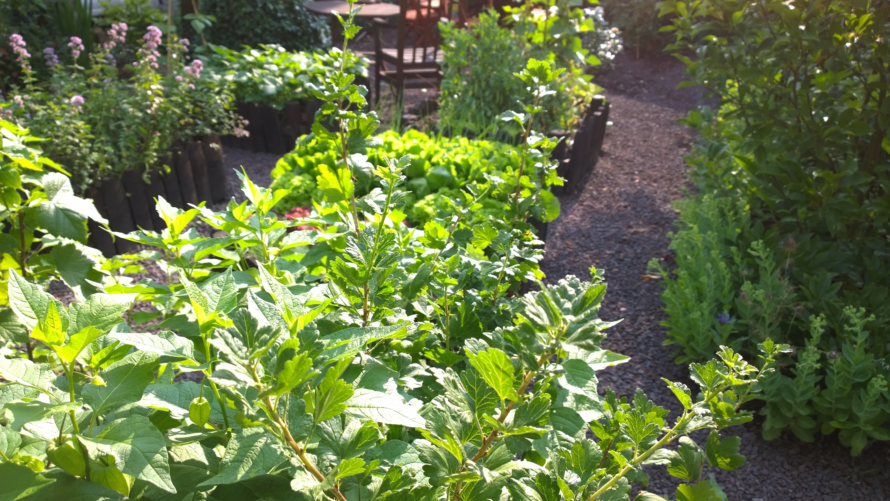 Garten