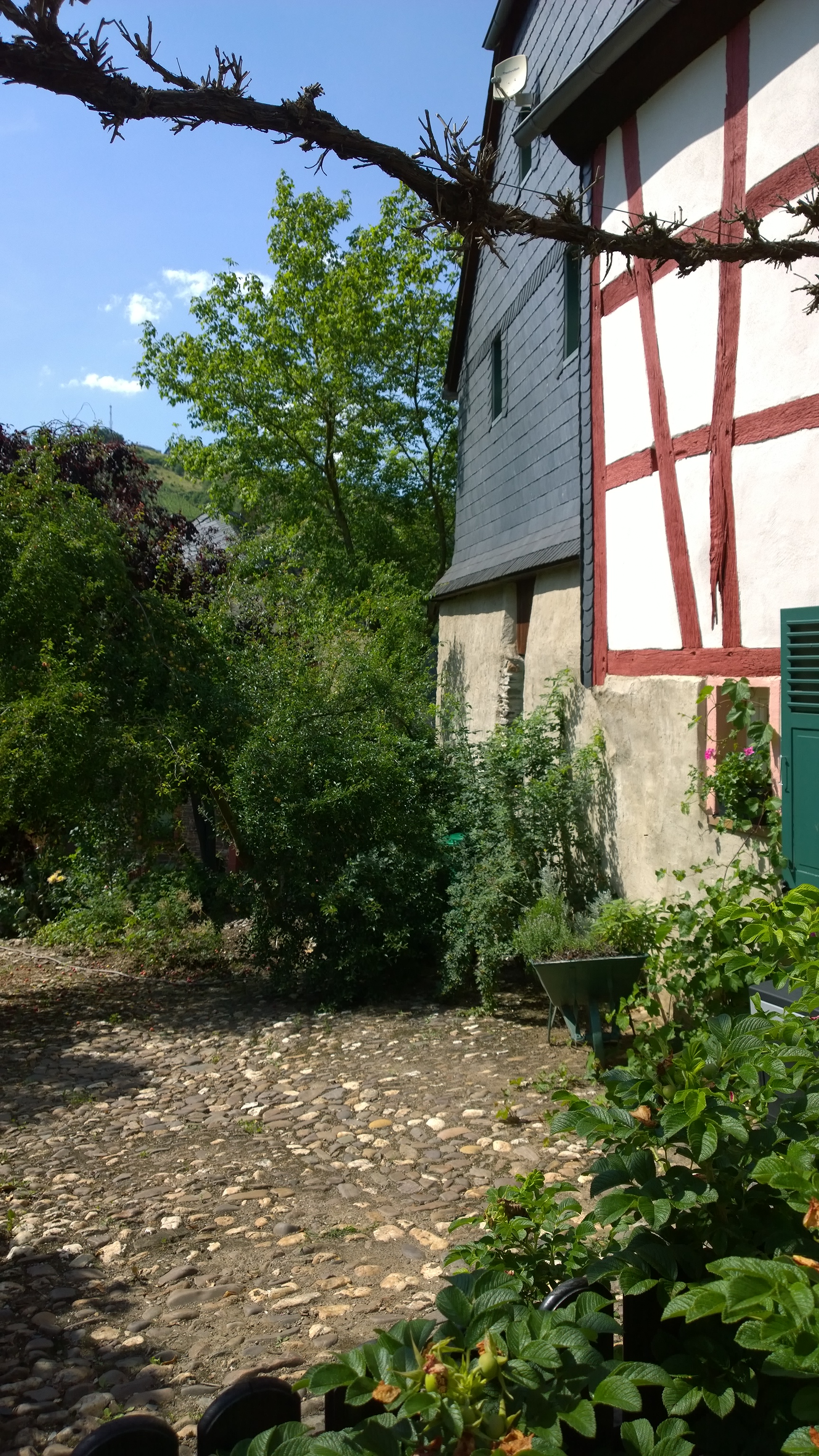 Außenansicht